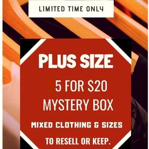 Plus Size 5 for $20 Mystery Box Mixed Lot